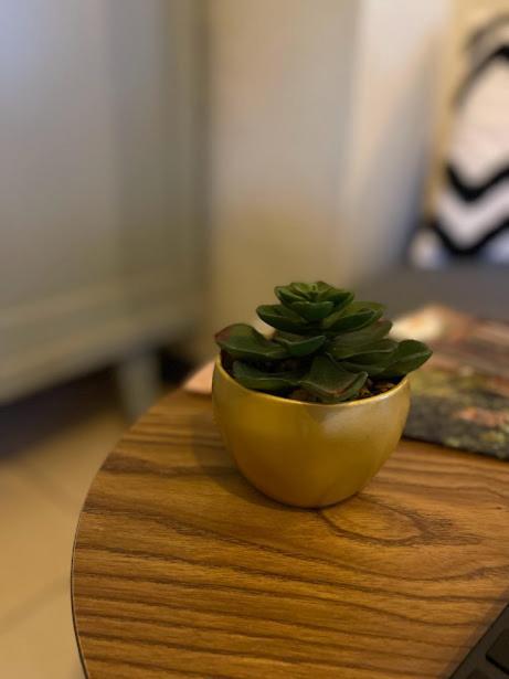 Les Hyacinthes 2 Apartment ซาร์ลา-ลา-กาเนดา ภายนอก รูปภาพ